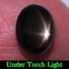 2.64 Ct. Oval Cab Natural Black Star Sapphire 6 Rays 2.64 Ct. Oval Cab Natural Black Star Sapphire 6 Rays