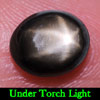 2.31 Ct. Oval Cab Natural Black Star Sapphire 6 Rays 2.31 Ct. Oval Cab Natural Black Star Sapphire 6 Rays