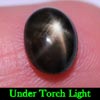 2.22 Ct. Oval Cab Natural Black Star Sapphire 6 Rays 2.22 Ct. Oval Cab Natural Black Star Sapphire 6 Rays