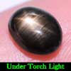 2.27 Ct. Oval Cab Natural Black Star Sapphire 6 Rays 2.27 Ct. Oval Cab Natural Black Star Sapphire 6 Rays