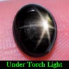 2.59 Ct. Oval Cab Natural Black Star Sapphire 6 Rays 2.59 Ct. Oval Cab Natural Black Star Sapphire 6 Rays