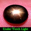2.72 Ct. Oval Cab Natural Black Star Sapphire 6 Rays 2.72 Ct. Oval Cab Natural Black Star Sapphire 6 Rays