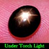 2.27 Ct. Oval Cab Natural Black Star Sapphire 6 Rays 2.27 Ct. Oval Cab Natural Black Star Sapphire 6 Rays