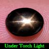 2.04 Ct. Oval Cab Natural Black Star Sapphire 6 Rays 2.04 Ct. Oval Cab Natural Black Star Sapphire 6 Rays