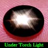 2.73 Ct. Oval Cab Natural Black Star Sapphire 6 Rays 2.73 Ct. Oval Cab Natural Black Star Sapphire 6 Rays