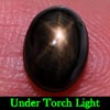 2.27 Ct. Oval Cab Natural Black Star Sapphire 6 Rays