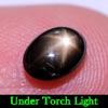 1.33 Ct. Oval Cab Natural Black Star Sapphire 6 Rays