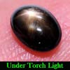 1.38 Ct. Oval Cab Natural Black Star Sapphire 6 Rays