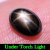 1.46 Ct. Oval Cab Natural Black Star Sapphire 6 Rays