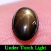 1.29 Ct. Oval Cab Natural Black Star Sapphire 6 Rays