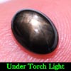 1.15 Ct. Oval Cab Natural Black Star Sapphire 6 Rays