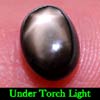 1.81 Ct. Oval Cab Natural Black Star Sapphire 6 Rays