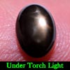 1.67 Ct. Oval Cab Natural Black Star Sapphire 6 Rays