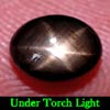 1.50 Ct. Oval Cab Natural Black Star Sapphire 6 Rays