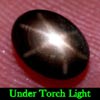 1.39 Ct. Oval Cab Natural Black Star Sapphire 6 Rays
