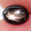 1.38 Ct. Oval Cab Natural Black Star Sapphire 6 Rays