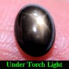 1.26 Ct. Oval Cabochon Natural Black Star Sapphire 6 Rays