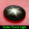 1.48 Ct. Oval Cab Natural Black Star Sapphire 6 Rays