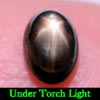 1.64 Ct. Oval Cab Natural Black Star Sapphire 6 Rays