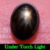 1.46 Ct. Oval Cab Natural Black Star Sapphire 6 Rays