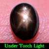 1.21 Ct. Oval Cab Natural Black Star Sapphire 6 Rays