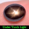 2.92 Ct. Oval Cab Natural Black Star Sapphire 6 Rays