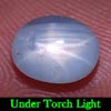2.20 Ct. Oval Cab Natural Gem Blue Star Sapphire 6 Rays 2.20 Ct. Oval Cab Natural Gem Blue Star Sapphire 6 Rays