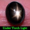 2.67 Ct. Oval Cab Natural Black Star Sapphire 6 Rays 2.67 Ct. Oval Cab Natural Black Star Sapphire 6 Rays