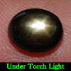 2.51 Ct. Oval Cab Natural Black Star Sapphire 6 Rays 2.51 Ct. Oval Cab Natural Black Star Sapphire 6 Rays