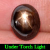 2.54 Ct. Oval Cab Natural Black Star Sapphire 6 Rays