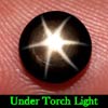 1.81 Ct. Round Cab Natural Black Star Sapphire 6 Rays