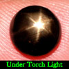 2.97 Ct. 8 Mm. Natural Gem Black Star Sapphire 6 Rays