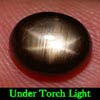 3.32 Ct. Oval Cab Natural Gem Black Star Sapphire 6 Rays