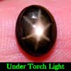 2.68 Ct Oval Cab Natural Black Star Sapphire 6 Rays Gem