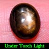 2.86 Ct Oval Cab Natural Black Star Sapphire 6 Rays Gem