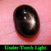 2.42 Ct Oval Cab Natural Gem Black Star Sapphire 6 Rays