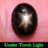 2.63 Ct. Oval Cab Natural Gem Black Star Sapphire 6 Rays