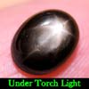 2.63 Ct. Oval Cab Natural Black Star Sapphire 6 Rays
