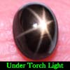 2.19 Ct. Oval Cab Natural Black Star Sapphire 6 Rays