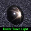 2.94 Ct. Oval Cab Natural Black Star Sapphire 6 Rays 2.94 Ct. Oval Cab Natural Black Star Sapphire 6 Rays