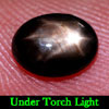 1.87 Ct. Oval Cab Natural Black Star Sapphire 6 Rays