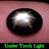 2.71 Ct. Oval Cab Natural Black Star Sapphire 6 Rays
