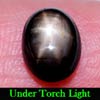 2.50 Ct. Oval Cab Natural Black Star Sapphire 6 Rays