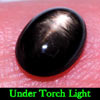 1.63 Ct. Oval Cab Natural Black Star Sapphire 6 Rays