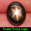 Oval Cabochon 2.49 Ct. Natural Black Star Sapphire 6 Rays