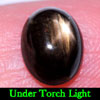 2.06 Ct. Oval Cab Natural Black Star Sapphire 6 Rays