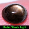 2.45 Ct. Oval Cab Natural Black Star Sapphire 6 Rays