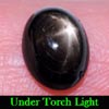 1.91 Ct. Oval Cab Natural Black Star Sapphire 6 Rays