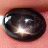 1.63 Ct. Oval Cab Natural Black Star Sapphire 6 Rays