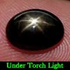 Black Star Sapphire 6 Rays 2.72 Ct. Oval Cabochon 8.7 x 7 Mm. Natural Gemstone